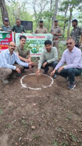 विश्व पर्यावरण दिवस पर नरेन्द्रनगर वन प्रभाग द्वारा जोश के साथ किया गया  स्वच्छता अभियान एवं सांकेतिक वृक्षारोपण